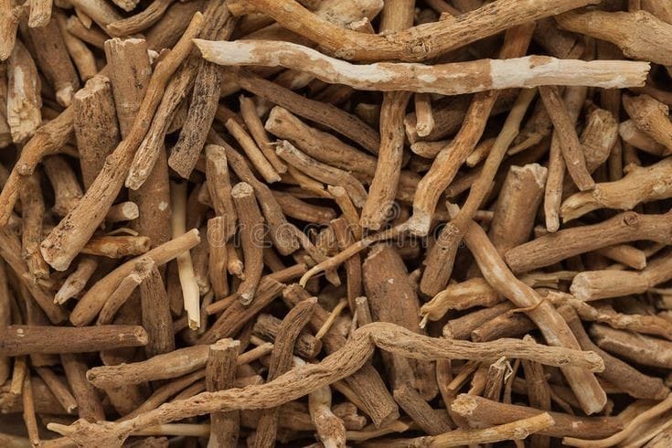 Withania Somnifera (Ashwagandha)
